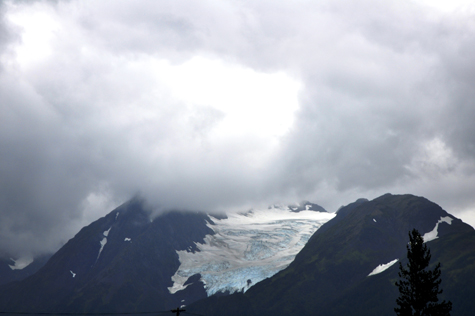 Melanie Heinrich Photographer